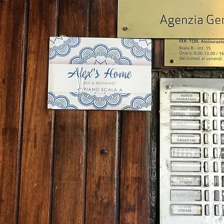 Alex's * بورتيشي